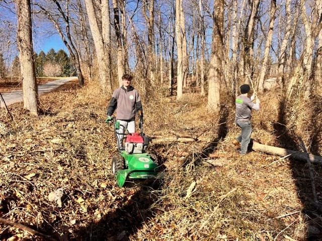 Brush cleanup in progress