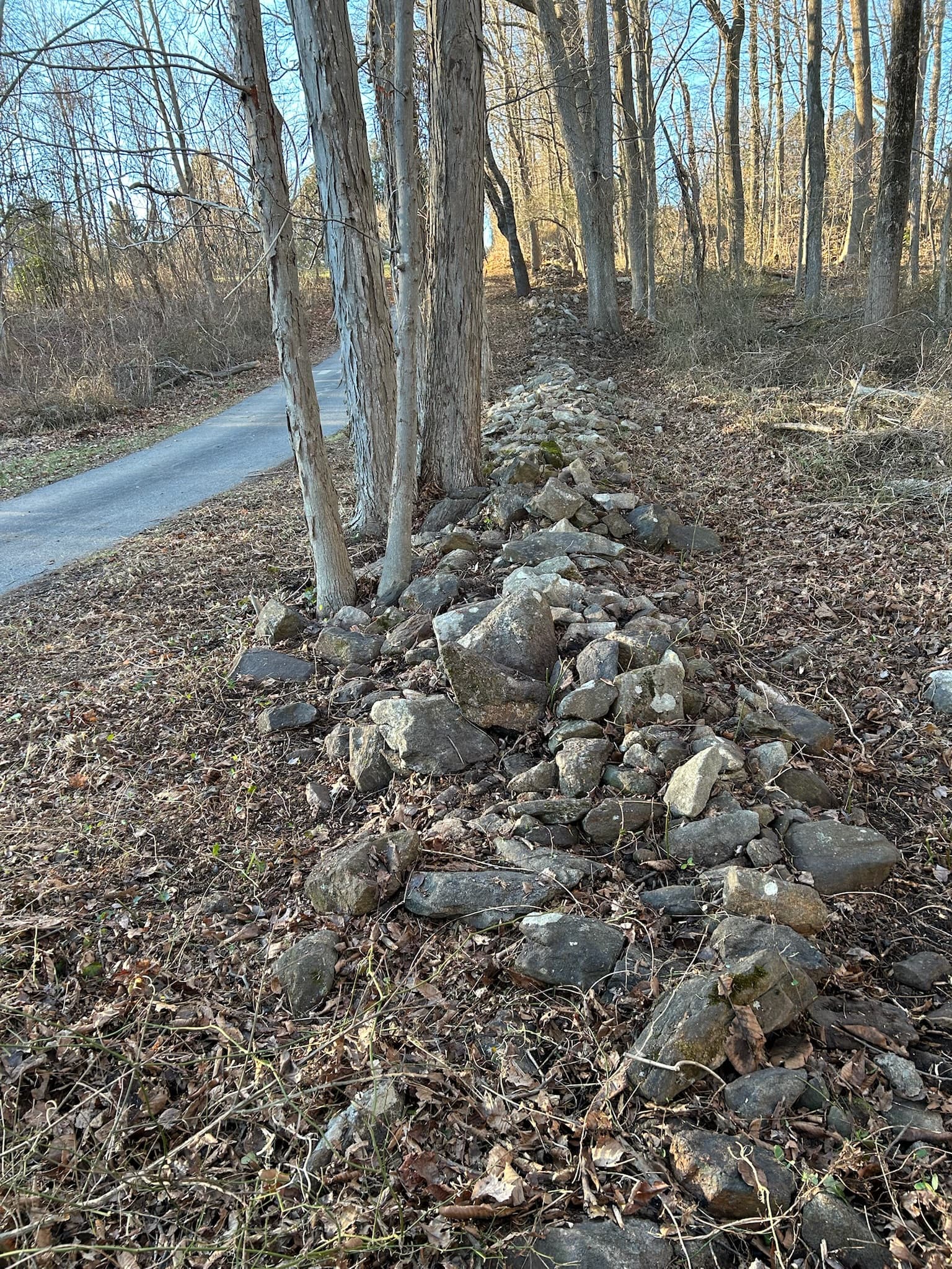 Restored brush cleanup area after service