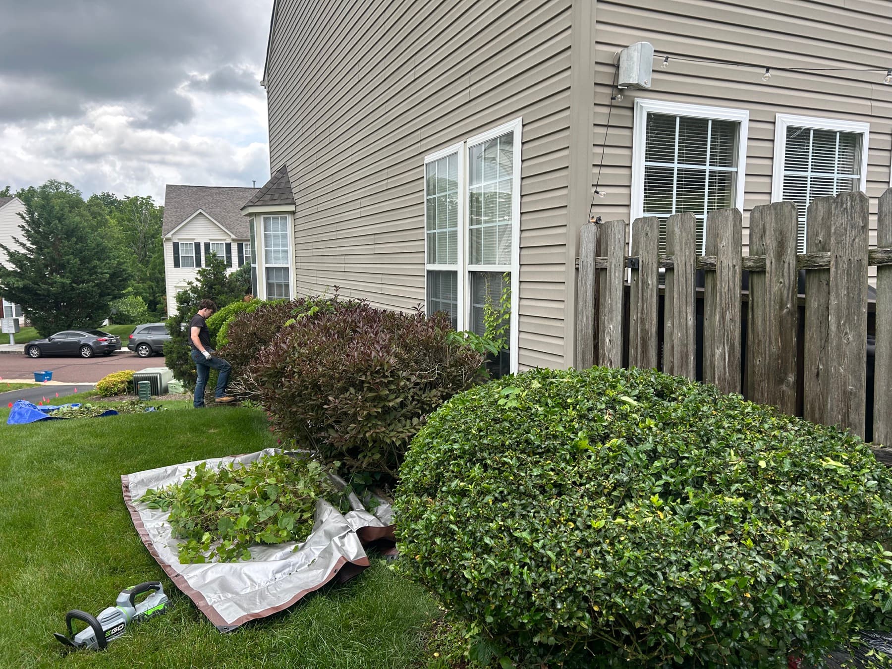 Bush Trimming service