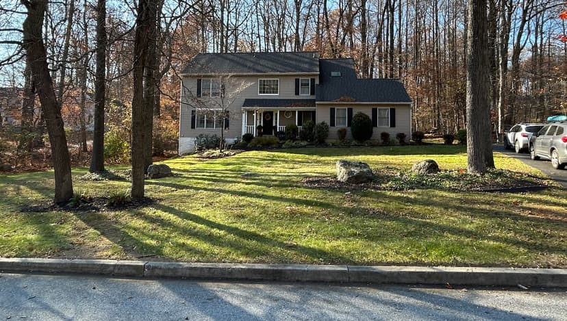 Leaf Removal — after
