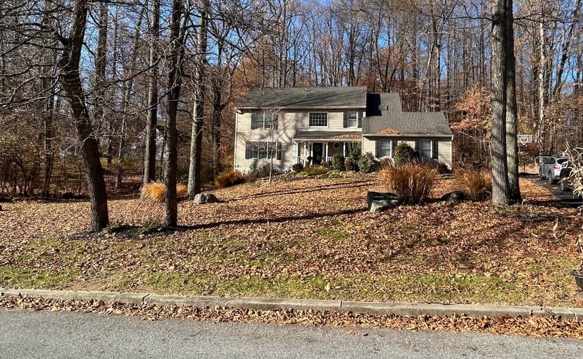 Leaf Removal — before
