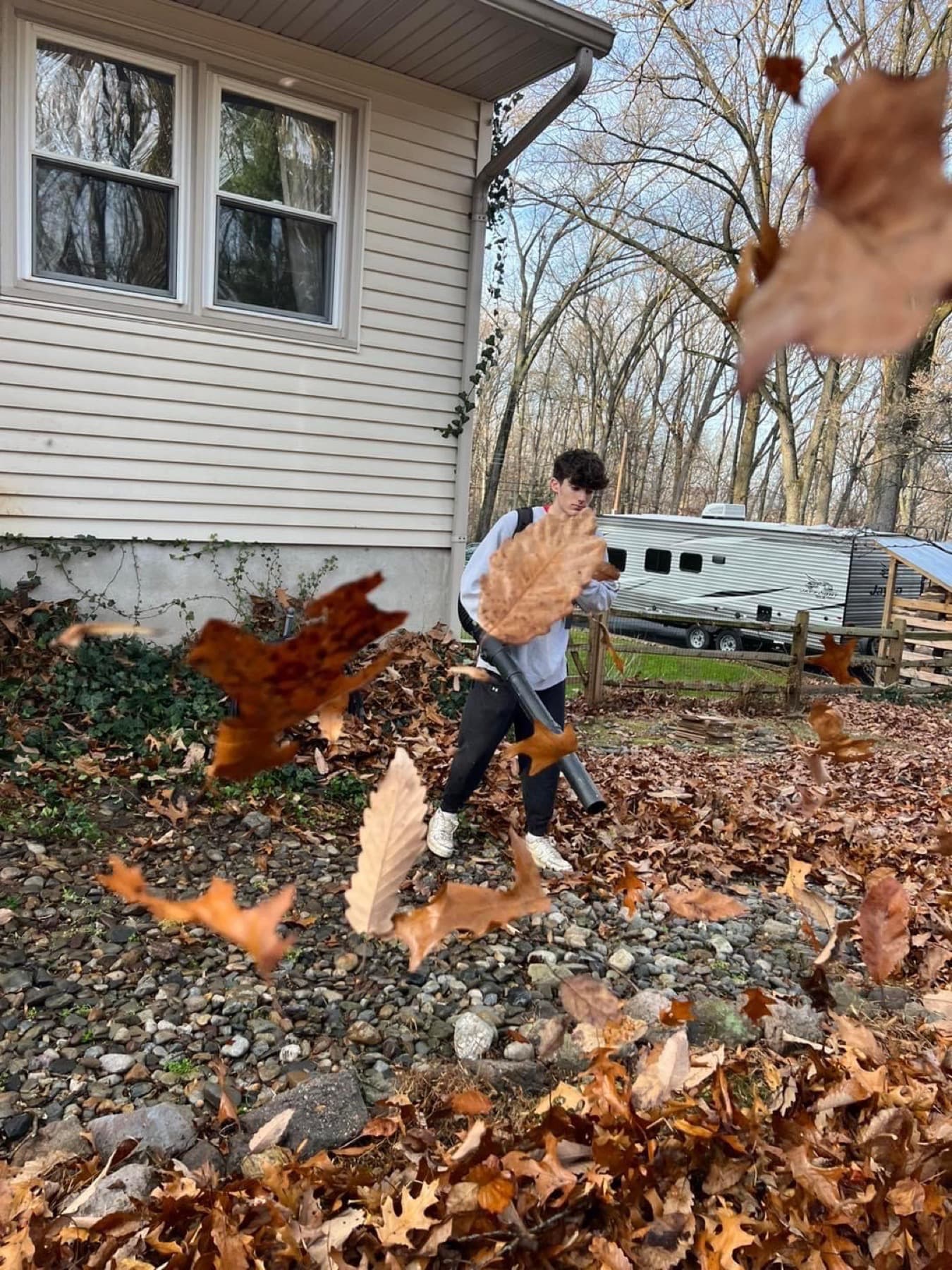 Leaf cleanup by Iconic Landscaping